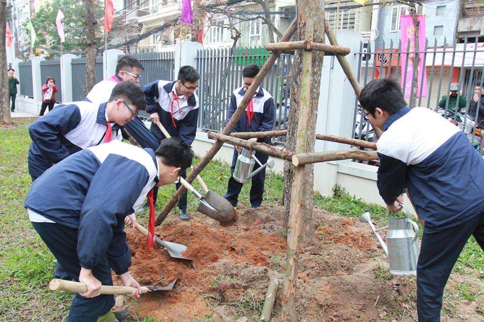 “Vì lợi ích 10 năm trồng cây”
