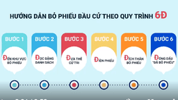 Quy trình bỏ phiếu bầu cử đại biểu Quốc hội và HĐND các cấp