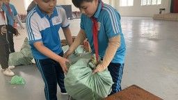 Phong trào Kế hoạch nhỏ tại Liên đội trường THCS Phan Chu Trinh
