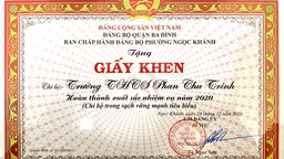 Chi bộ trong sạch vững mạnh tiêu biểu năm 2020