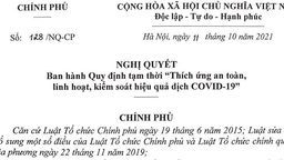 Nghị quyết 128/NQ-CP của Chính phủ về Ban hành quy định tạm thời "Thích ứng an toàn, linh hoạt, kiểm soát hiệu quả dịch COVID-19"