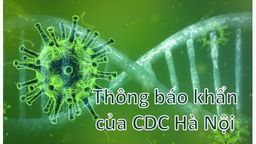 Thông báo khẩn của CDC Hà Nội về việc hướng dẫn và làm xét nghiệm phát hiện sớm nguy cơ mắc bệnh Covid-19