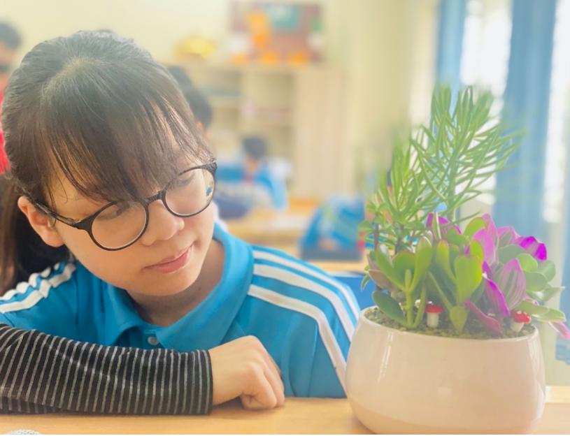 THCS Phan Chu Trinh – ngôi trường của màu xanh