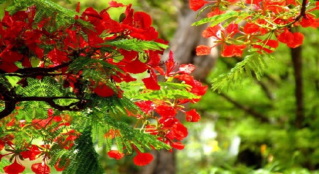 Tháng 5 rực rỡ - lên đường cùng tôi nào bạn ơi!