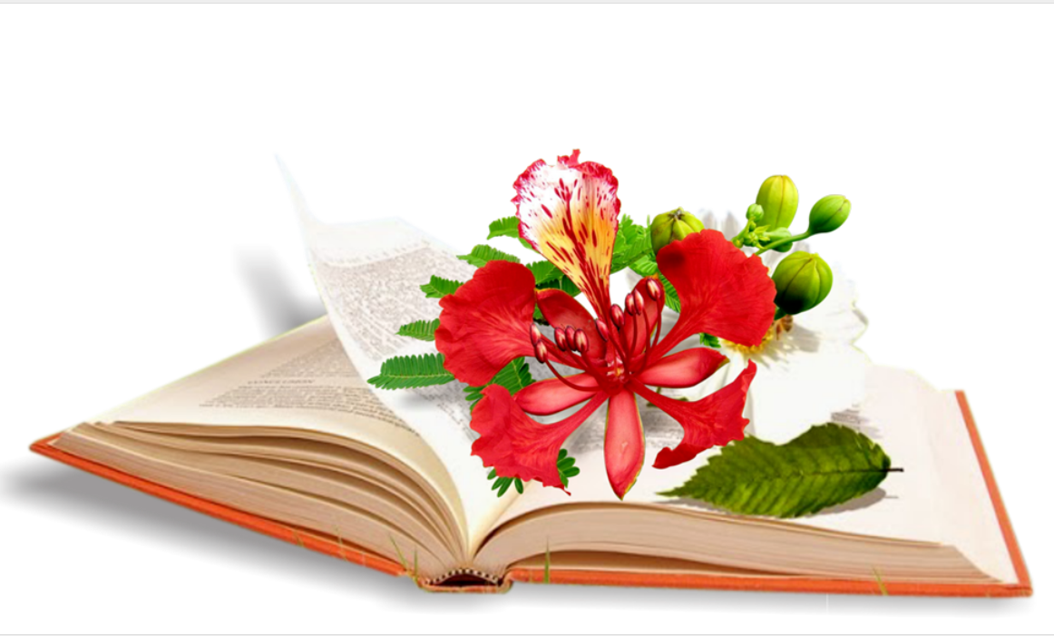 Niềm vui vỡ òa của một người mẹ