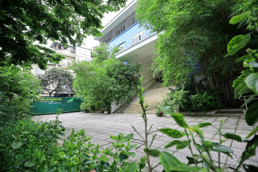 A picture containing tree, outdoor, plant, green

Description automatically generated