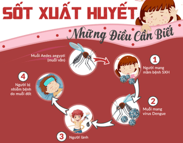 Tuyên truyền về phòng chống bệnh sốt xuất huyết