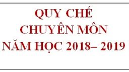Quy chế chuyên môn Trường THCS Phan Chu Trinh